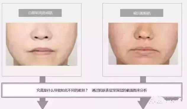 pola最好用的产品,pola护肤品全系列