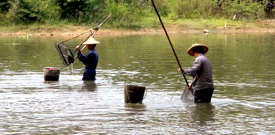 海边贝类种类,各种贝类的名称