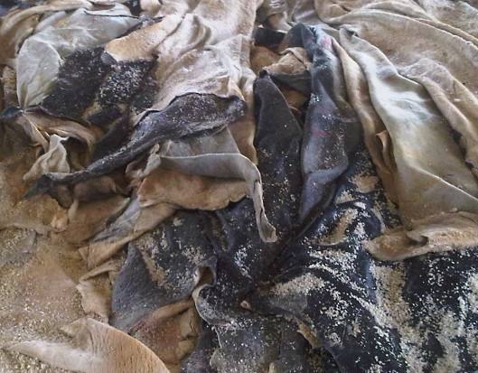 驴肉那么贵为什么没人养驴肉,驴肉为什么那么贵但没人养驴