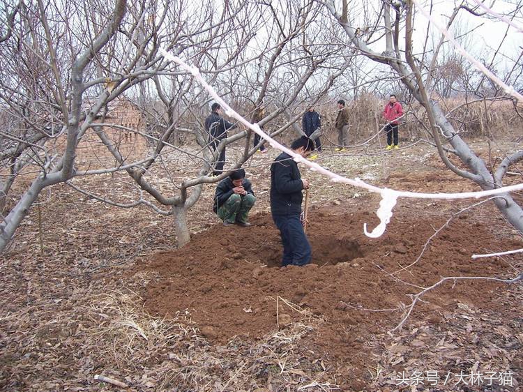 梦见后山挖出大洞穴里面有宝物,梦见大古墓并取出财宝