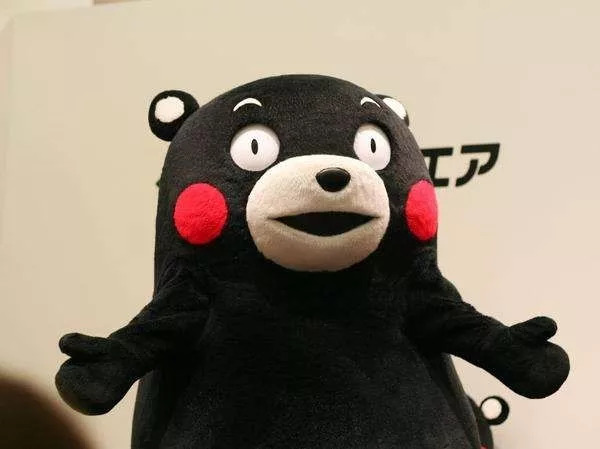 去日本要准备的行李,日本旅行必备行李包括哪些