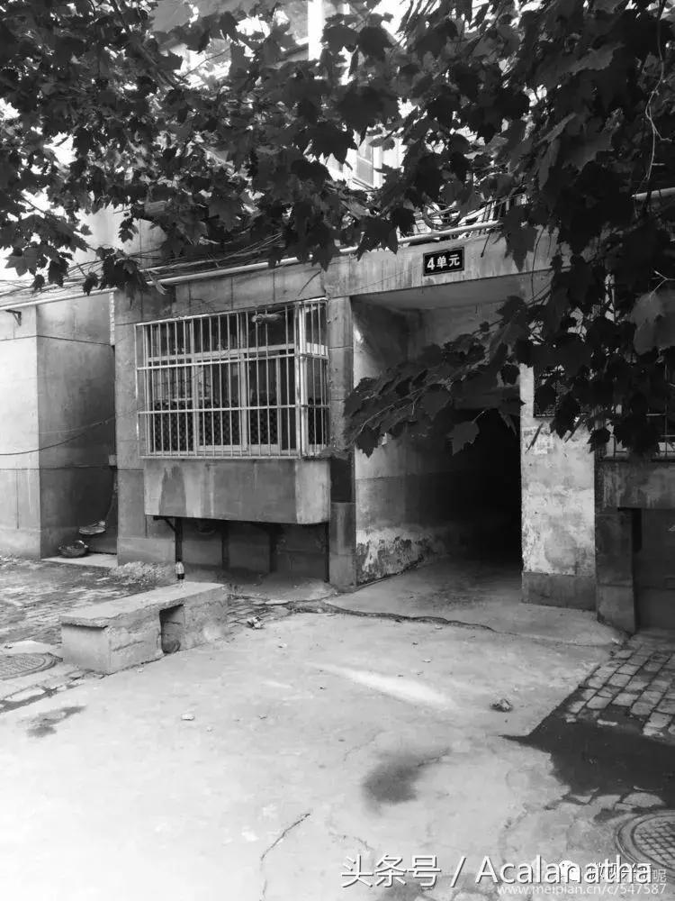 兴平：我的故乡我的云一一70后纤维厂纪事