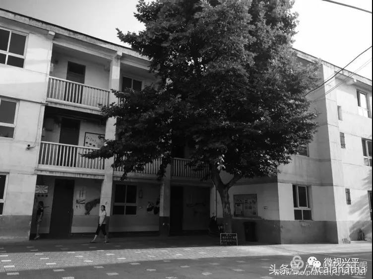 兴平：我的故乡我的云一一70后纤维厂纪事