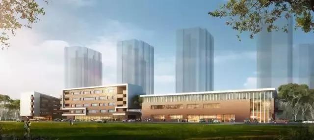 南沙比较好的公办小学,南沙新开的小学