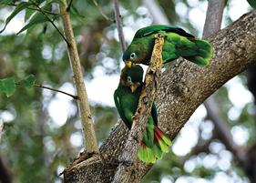 带你看看真实的牙买加,真实的牙买加