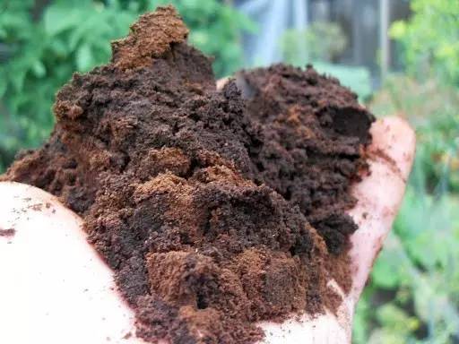 自制花肥恶臭冲天？用这4个小窍门，花肥不*作臭**用更好！