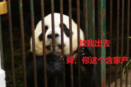 舜是什么样的君王,舜是一个怎样的人