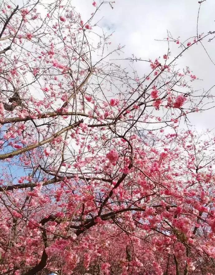 昆山样子,昆山市图片大全