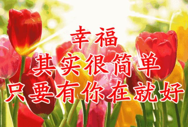 美好人生幸福相册,幸福人生的相册