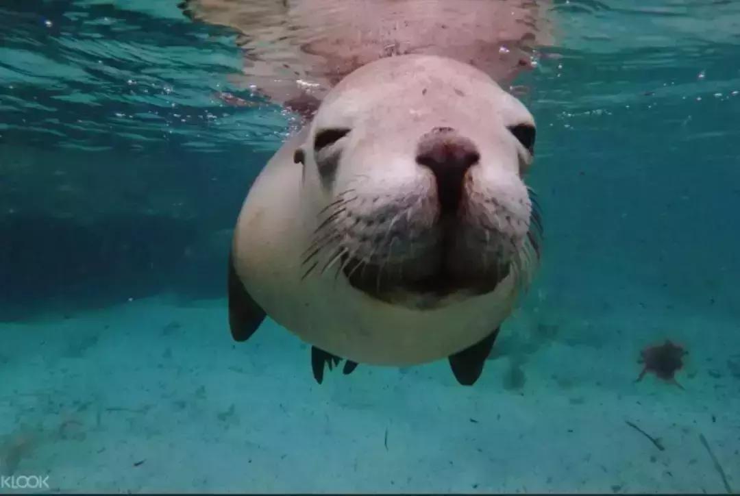 南澳除了美酒美食，还有这些超酷的打卡体验