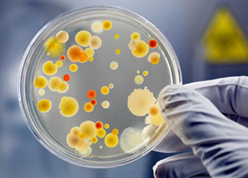 病从口入当心什么疾病,口腔炎和细菌性心内膜炎