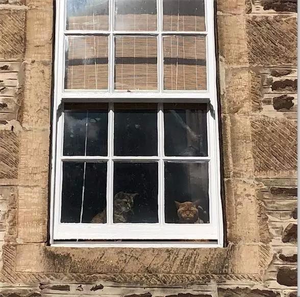 我到乌托邦鼻祖欧文的地盘上转了下，和英国人聊了聊