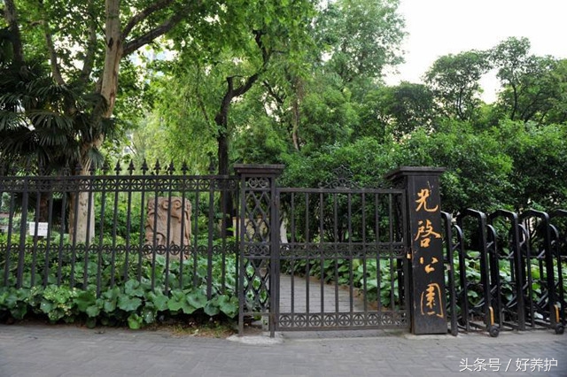 上海值得一去的18个公园,上海免费公园景点推荐