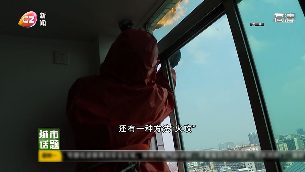 马蜂巢怎么处理,马蜂热门话题