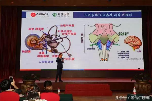 老岳主题演讲《感觉统合训练助推中国学前教育新发展》