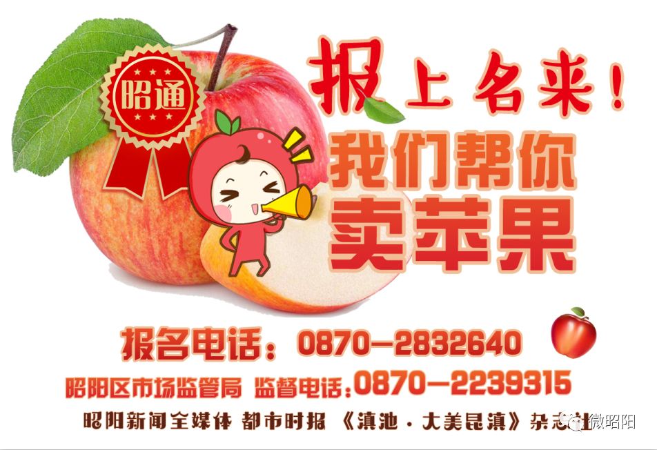 作家看金庸,作家看风景