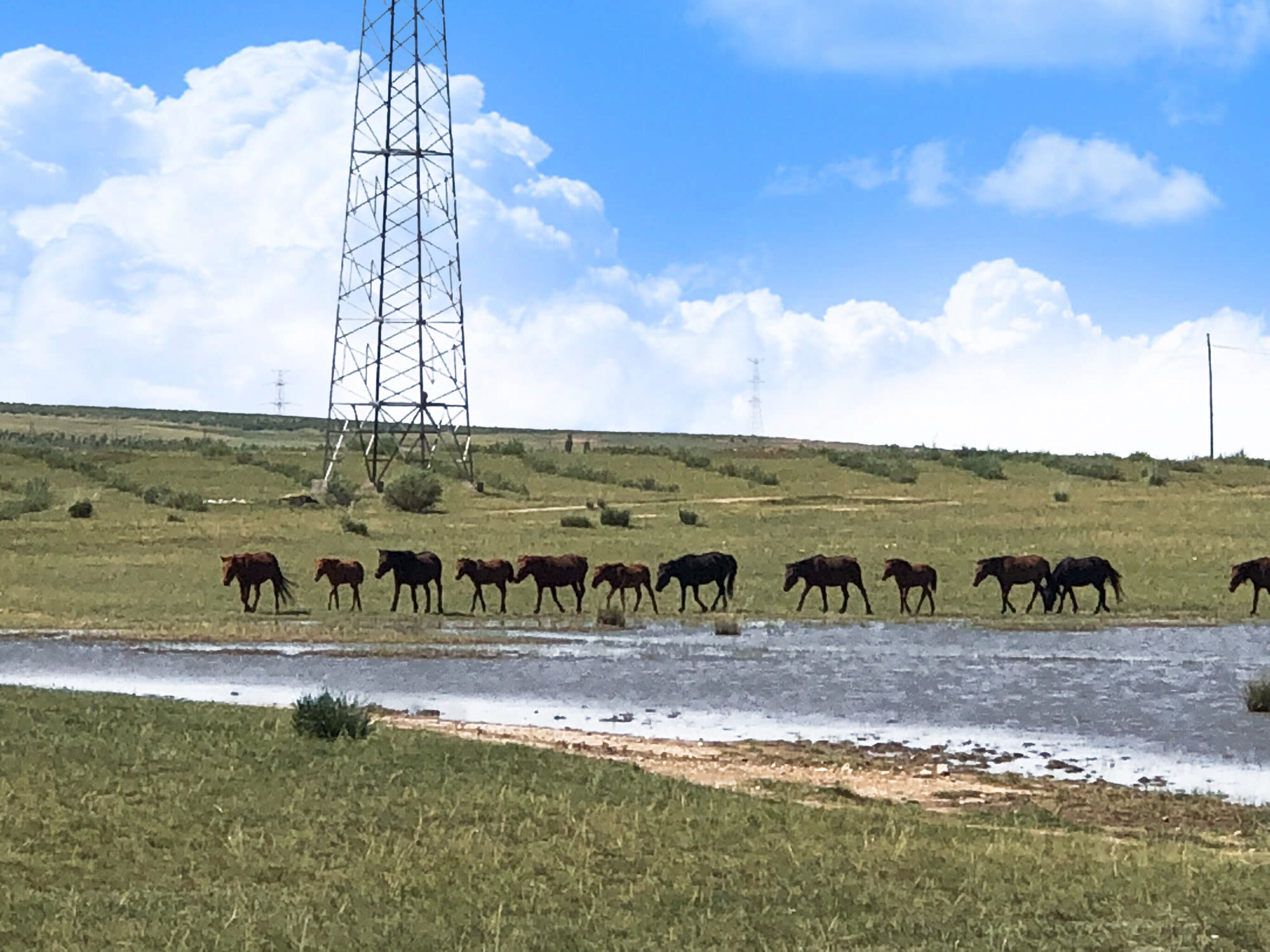 内蒙希拉穆仁草原好玩,包头希拉穆仁草原风景