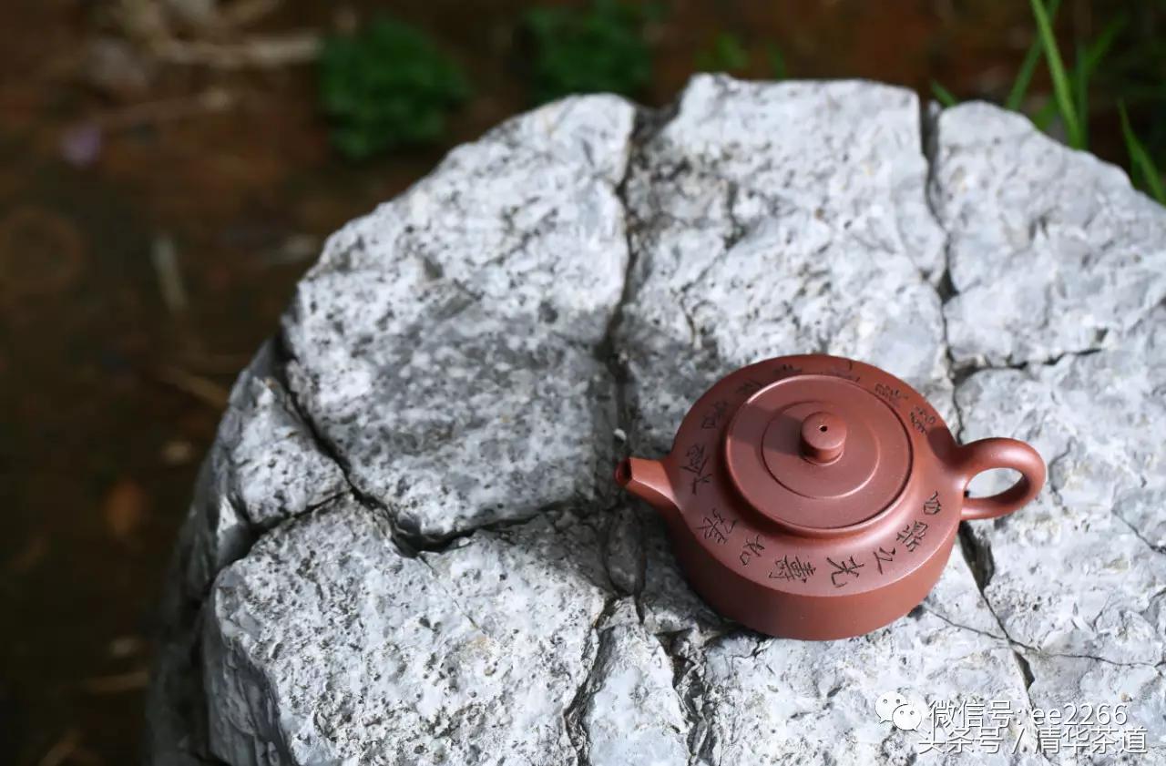 紫砂壶茶友日常泡茶,资深茶友紫砂壶