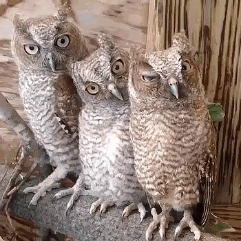 ins风格拍照姿势,推荐ins风拍照姿势