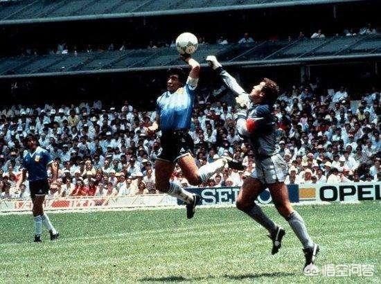 世界杯都有哪些国家2022,世界杯都有哪些国家