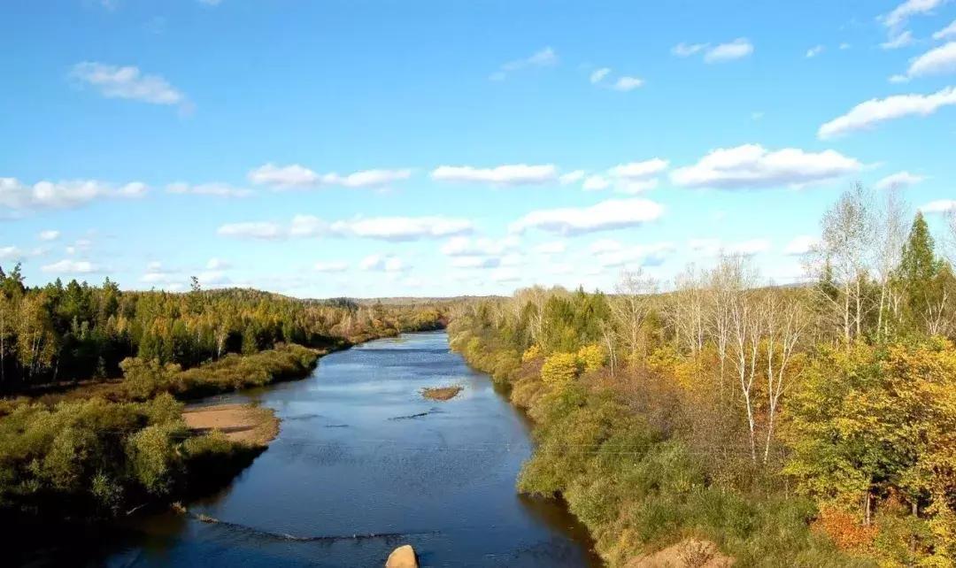 黑龙江黑河市有什么特色美食,黑龙江鹤岗特色美食
