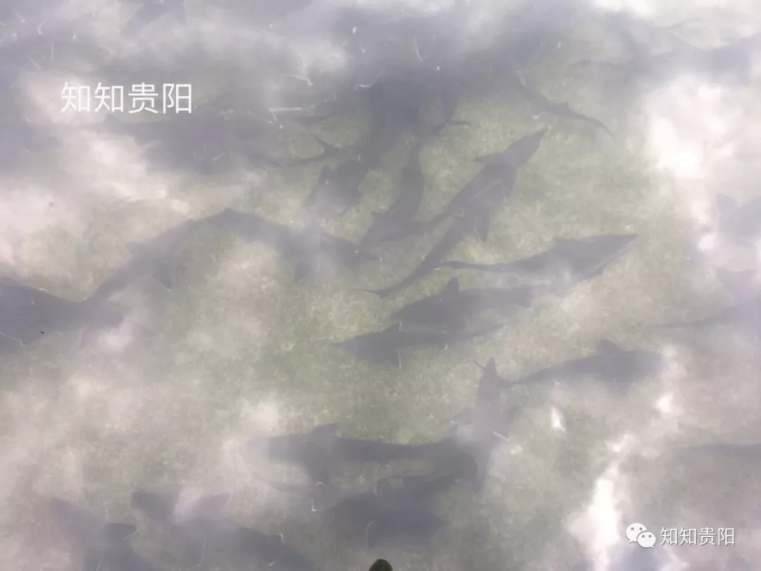 姊靛噣灞辩湅鍒版按涓椿鍖栫煶,鐭ョ煡璐靛窞