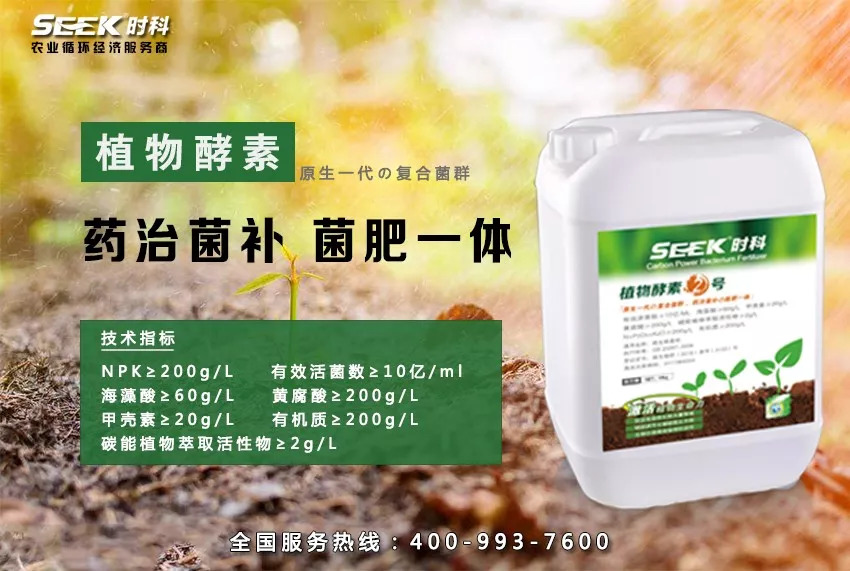 植物酵素讲解,植物酵素的本质