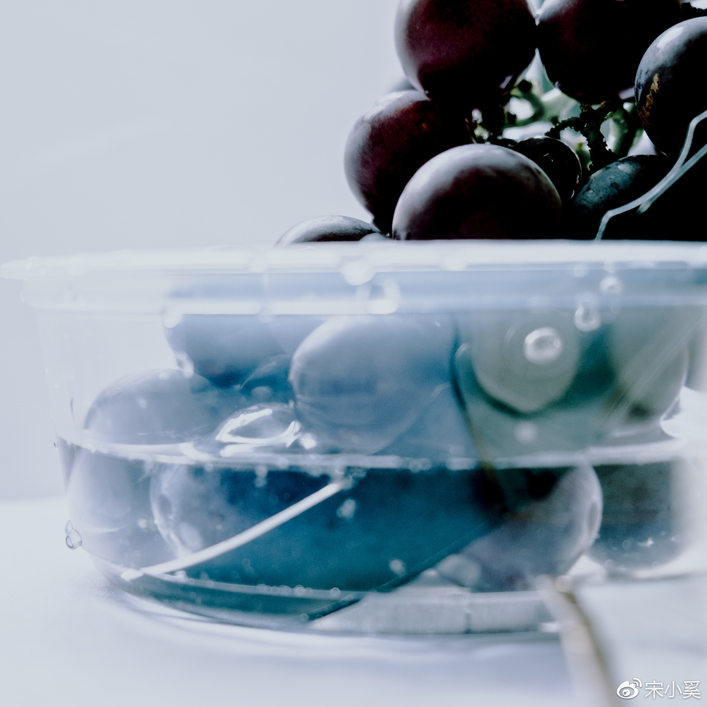 家庭版静物摄影,静物拍摄校园