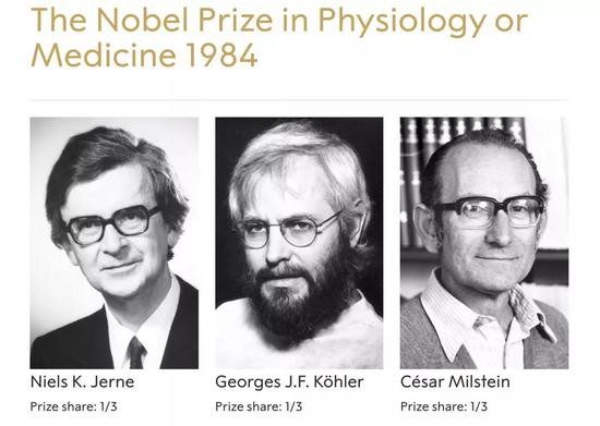 非小细胞肺癌一线推荐用药,非小细胞肺癌最新靶向药物