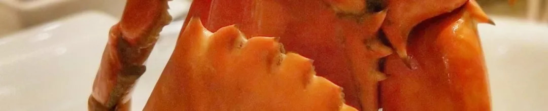 安利纽崔莱健康慈善跑活动,安利纽崔莱健康慈善慢跑