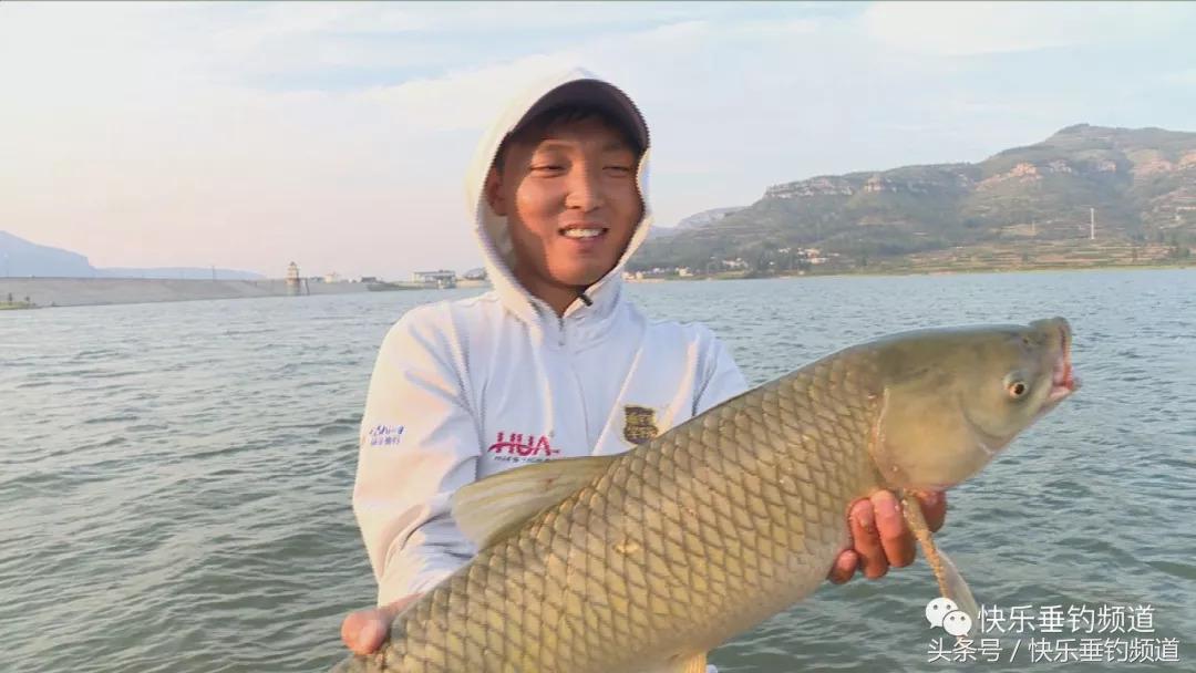 秋季水库夜钓草鱼怎样钓效果最好,秋季草鱼晚上钓底还是钓浮