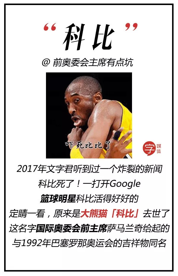 每一只可爱滚滚的背后,都有一群起名字不靠谱的人!