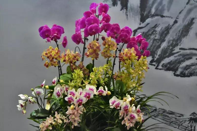 中华家风耕读传家故事,央视讲中华传统文化的纪录片