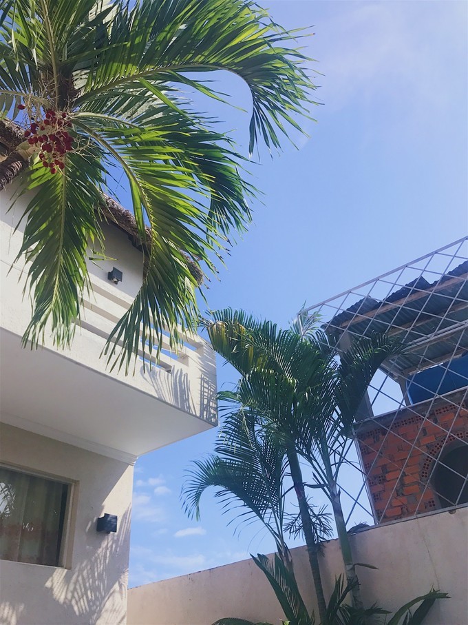 越南由南到北旅游方式,5000元越南8天7晚旅行全攻略