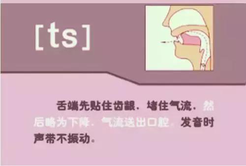 音标教学视频48个,夏沫英语48个音标教学视频