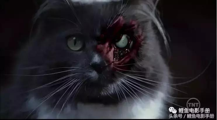 恐怖僵尸吸血鬼电影,恐怖片僵尸吸血鬼