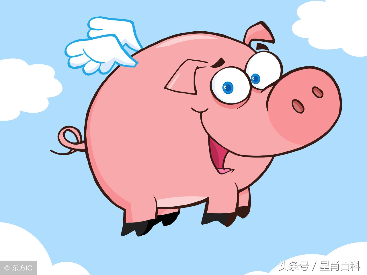 生肖配对男方属猪女方属虎,12生肖配对姻缘属猪女