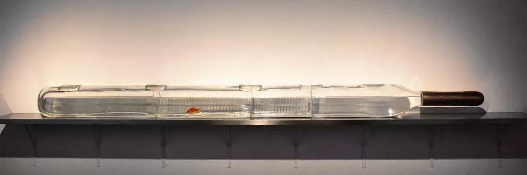 亚洲首展！开枪射画肉上绣花……这场叫“她”的展览，见识女性的力量