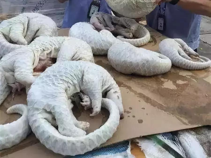 朋友圈代购真实案例,揭露各种海外代购真相