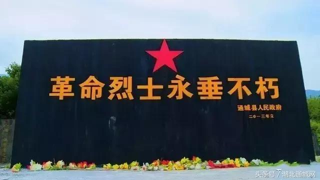通城县红色历史故事,老通城革命历史