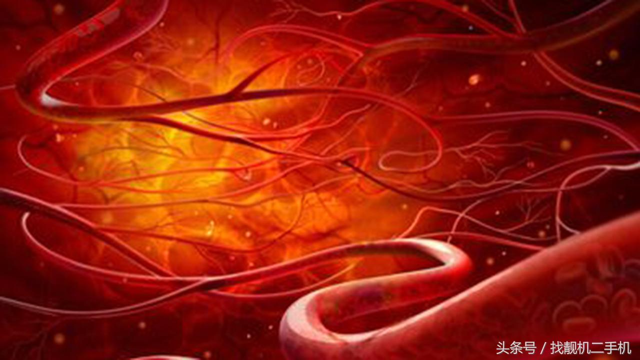 人死前血液在身体里循环，死后血液都流到哪去了？