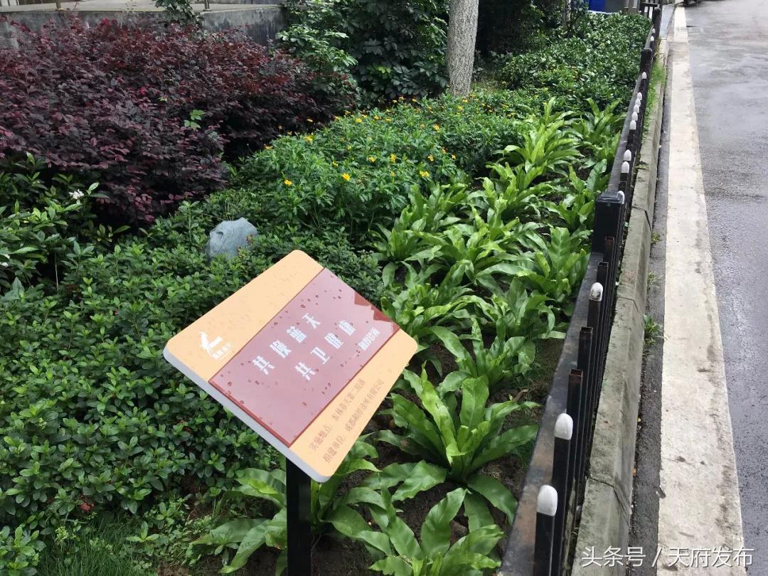 升级服务！万安街道创新探索社区治理新路径，提升居民幸福感