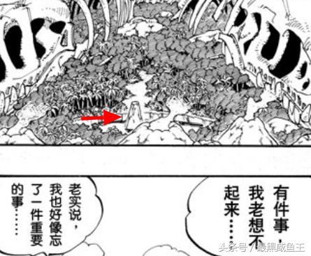 海贼王0-200剧情,海贼王的100个细节