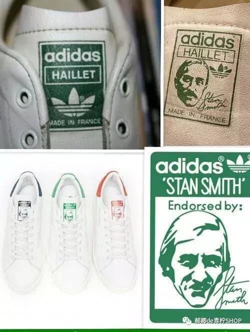 为什么绿尾少,绿尾是什么