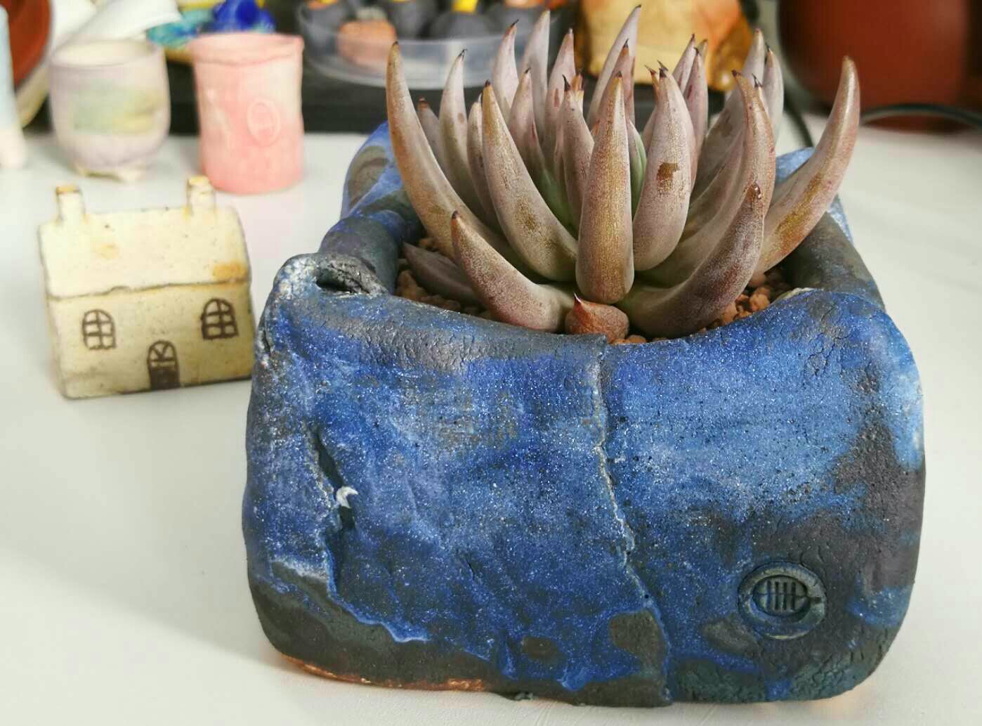 慢生活全文免费阅读,慢生活轻阅读