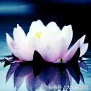 大沽河同题诗《秋月》总汇——56首