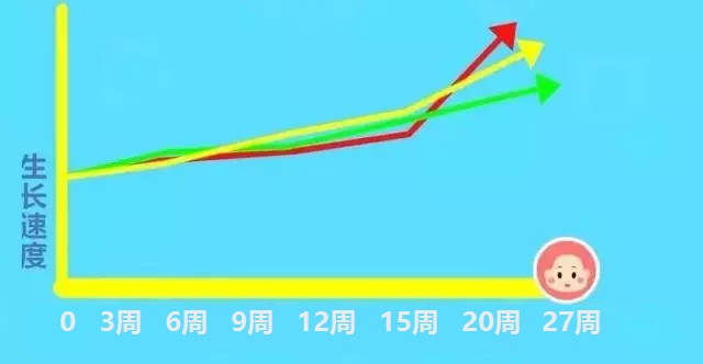试管自然周期移植怎么计算孕周,hcg值对照表孕周怎么计算的