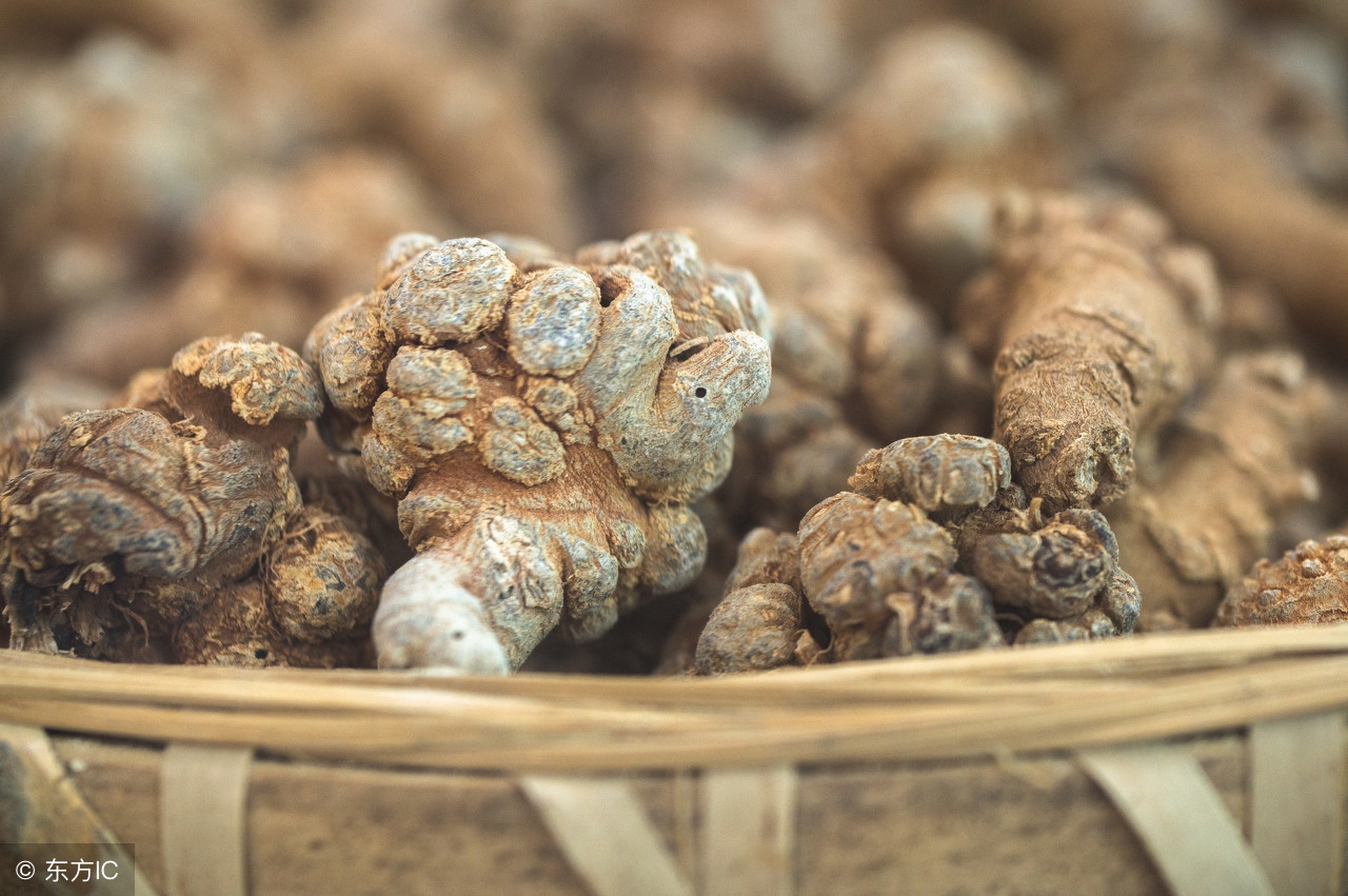 三七粉的八大禁忌是什么,三七粉虽然好但是有些人不能吃