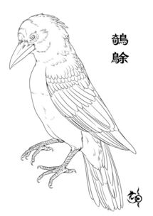 讲解山海经,图解山海经之南山三经