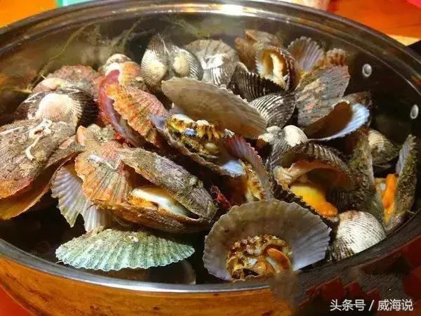 炫富卖海鲜的,威海开海去哪买海鲜